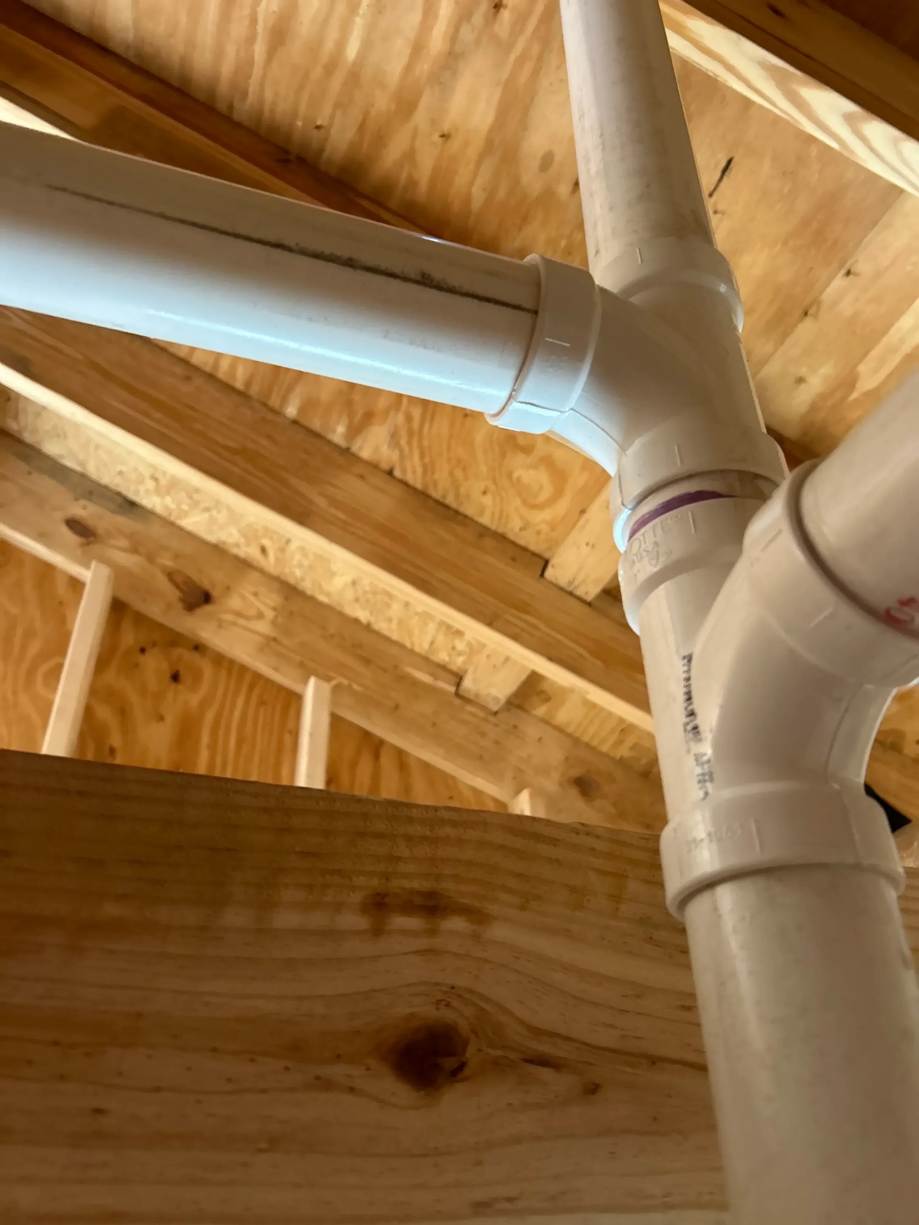 White PVC drain pipe with coupling and blue strap secured to wooden framing